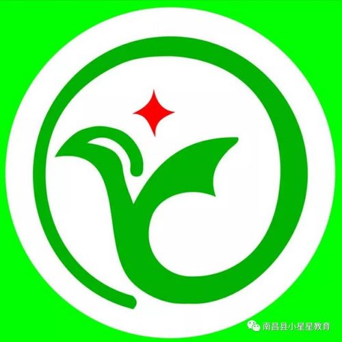 青春无畏，梦想有声——“新星百学优”演讲比赛系列报道之优申教育